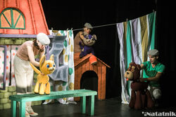 Экскурсии в Аквапарке г. Кобрин - кукольный театр в Бресте