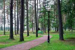 Территория Санатория Ружанский - прогулочная дорожка