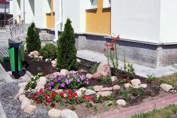 Территория Санатория Ружанский - клумбы с цветами