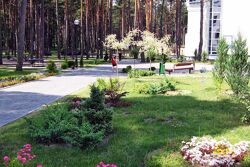 Территория Санатория Ружанский - озеленение территории