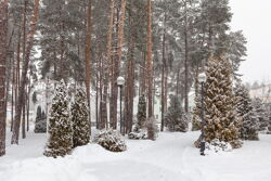 Территория Санатория Ружанский зимой - дорожка на территории