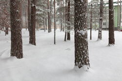 Территория Санатория Ружанский зимой - через 10 минут после метели