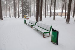 Территория Санатория Ружанский зимой - аллея в лесной части территории