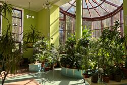 Корпуса Санатория Ружанский - крытая оранжерея