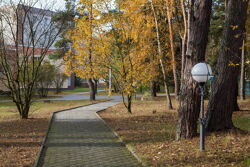 Территория Санатория Буг осенью - прогулочные дорожки