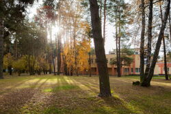 Территория Санатория Буг осенью - красивые тени на поляне