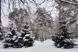 Территория Санатория Буг зимой - заснеженная аллея между корпусами