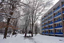 Территория Санатория Буг зимой - прогулочная дорожка у спального корпуса